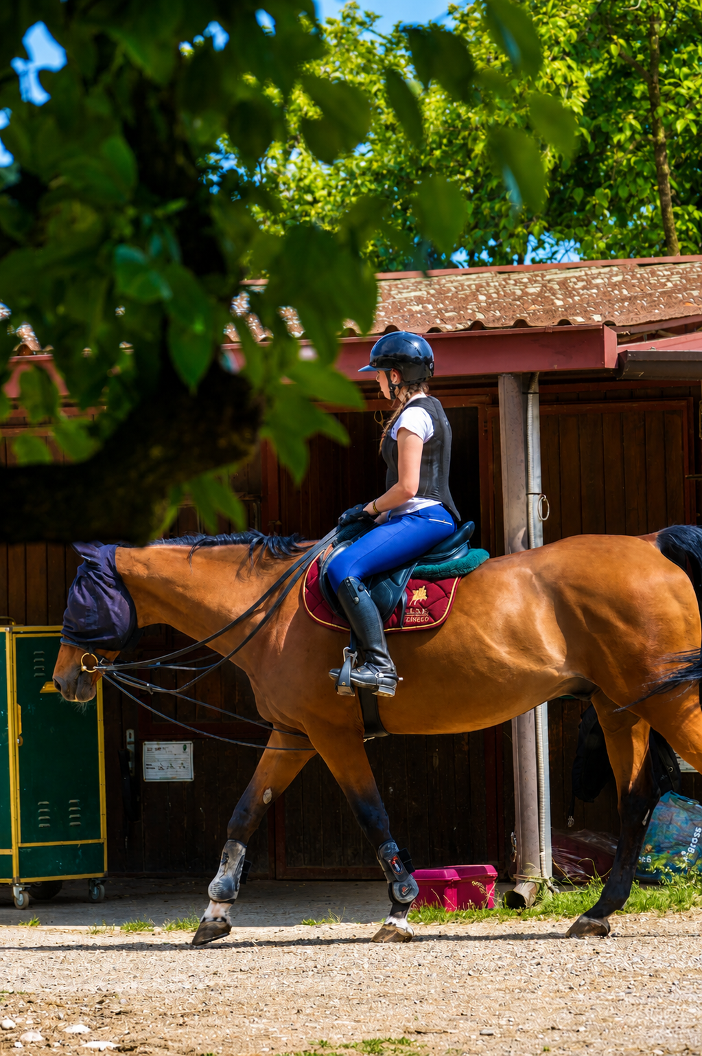 Lezione di equitazione a Verona